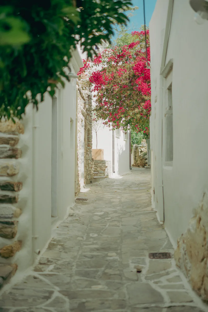 Γαλάζια ξύλινη πόρτα με πορτοκαλιά γλάστρα και γιασεμιά